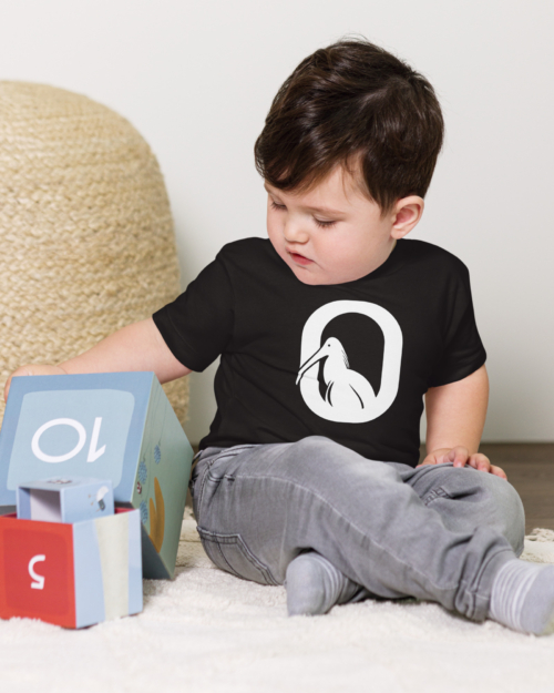 Baby Boy Jersey Short Sleeve Tees