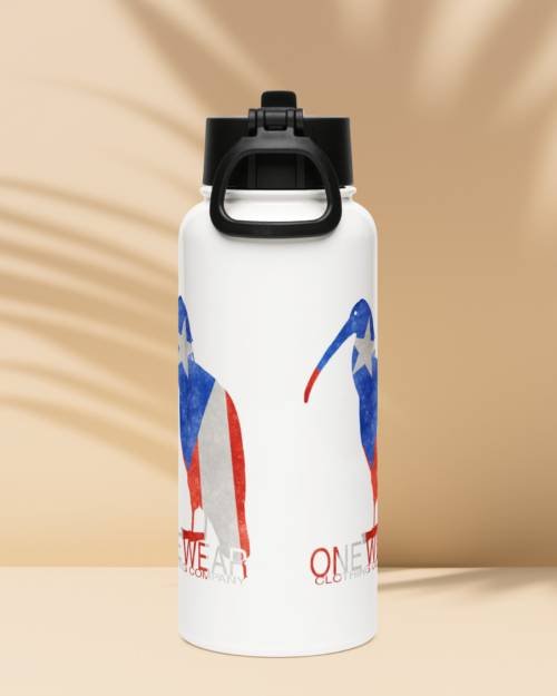 Stainless steel water bottle with a straw lid
