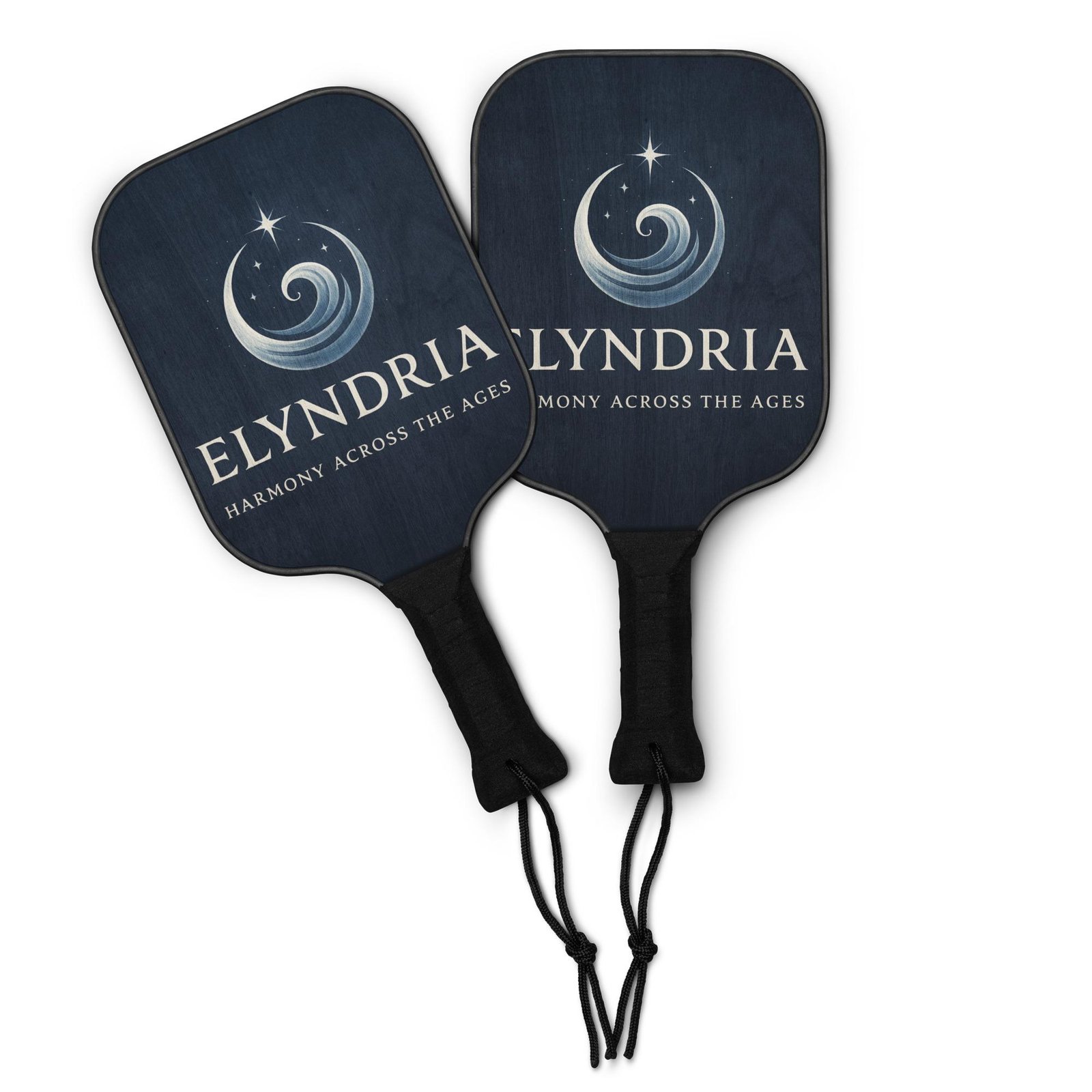 Pickleball paddle set